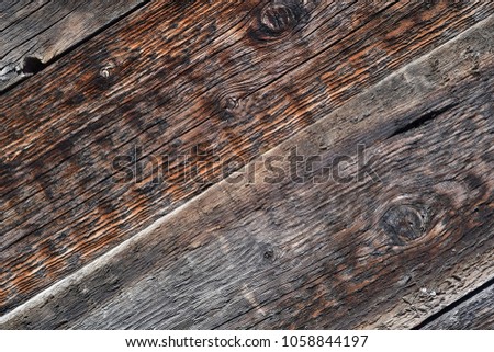 Wood texture, background old wood planks