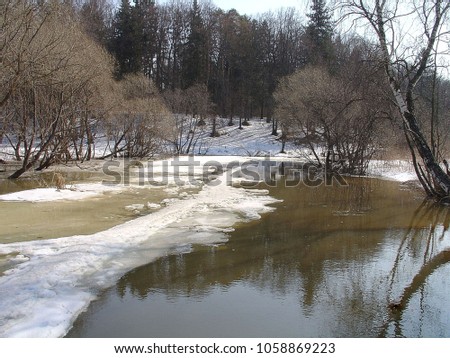 Beautiful view of nature landscape. Spring flood in forest. Slush. Melted snow. Overflow. Spring backgrounds.