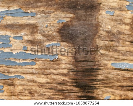 Texture of natural wood planks with cracked gray paint, spot of water spillage, abstract background. 