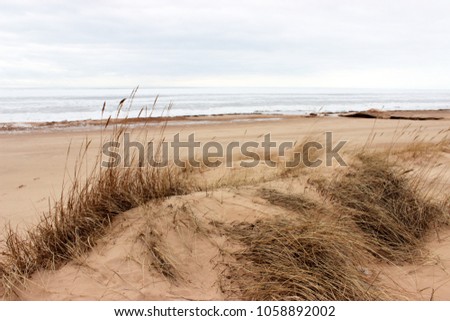 Very beautiful view on cold baltic sea, spring time. Yellow sand dune growing with dry grass. Pretty card, nature theme. Estonia, Europe. 