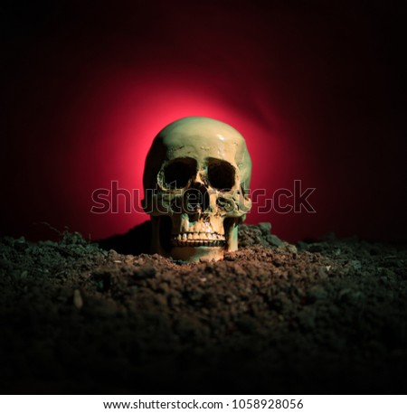 frontview of human skull open mouth on dark toned foggy background. Horror concept. Empty space.