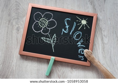Still-life of black slate with a copper frame with a painted multi-colored chalk flower, a flower inscription, a light green chalk and a cat's paw on a wooden background.
