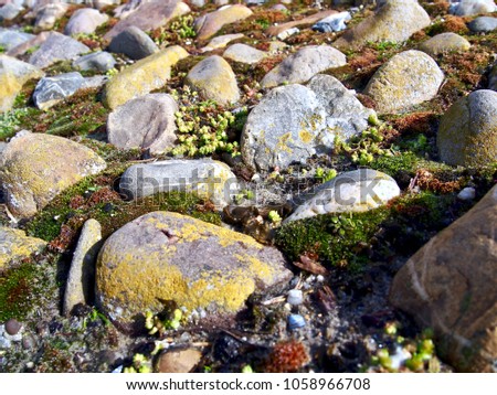 stones pebbles embankment moss