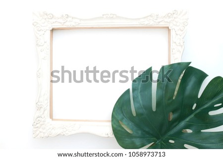 Classic style white picture flame and plant leaf on white background, Creative space