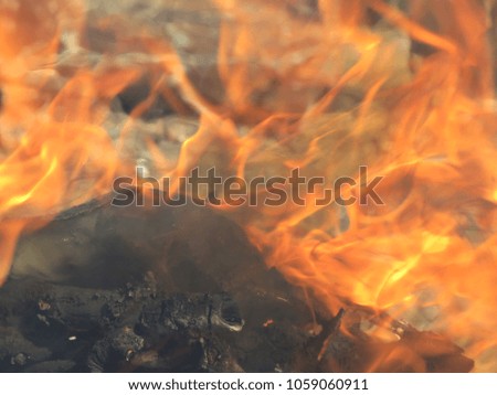 Close up shot of blaze fire flame texture background. Orange flames.Huge pile of branches. A macro shot of firewood and hot, glowing coal. Burning branches and wood. Forest fire.