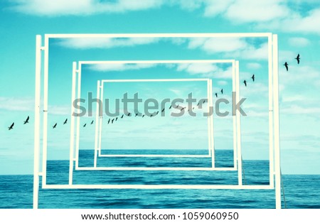 surreal enigmatic picture of flying birds and frame . beach landscape.