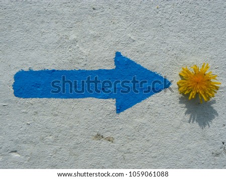 painted blue arrow and yellow dandelion, abstract