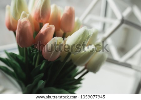 Tulips on wooden background near geometric shapes. Bunch of flowers. Bouquet for love. Holiday card with copy space.Pink tulip on the white background. Easter and spring greeting card