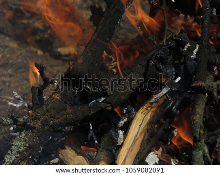 Firewood and branches burn in the fire. Orange flames.Huge pile of branches. A macro shot of firewood and hot, glowing coal. Burning branches and wood. Forest fire, burning grass and small trees.