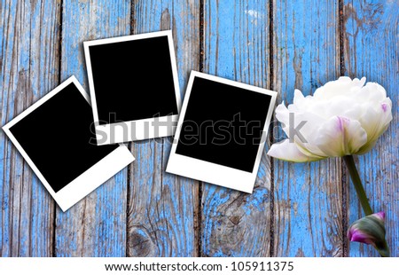 three photographs on the old blue boards with white flower