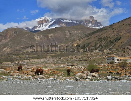 The picture shows a mountain landscape.In the mountains graze horses, road, sky with clouds, rocks and mountain tops.