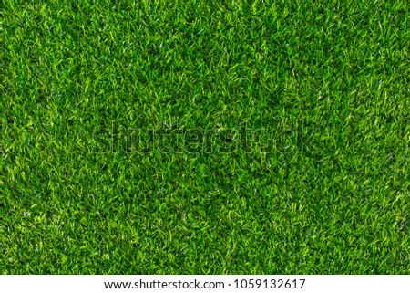 Green lawn for background.
Green grass texture background. 
top view.