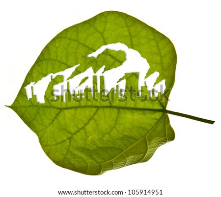 Ecological factory inside a green leaf