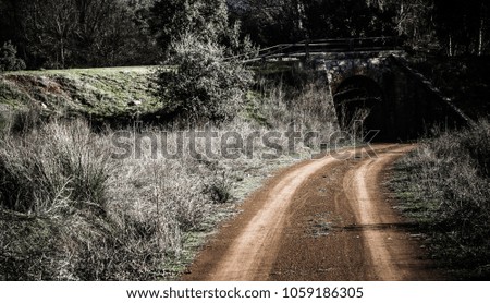 Dirt road to the bridge