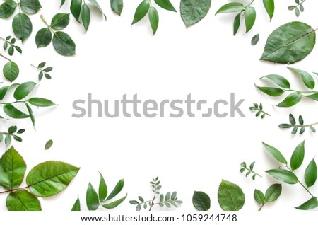 Frame from various leaves on a white background with space for text. Green floral background. Top view. Copy space. Mock-up