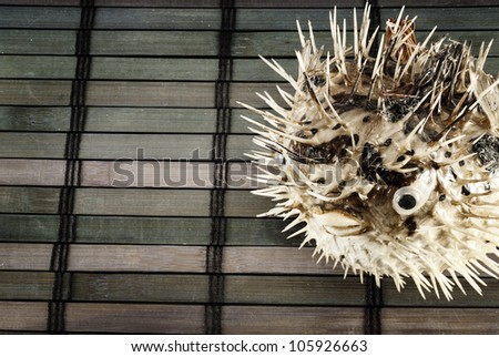 The scarecrow of blowfish on a wooden mat.