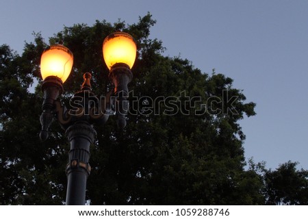 Old Street Lights at Dusk with Tree Background