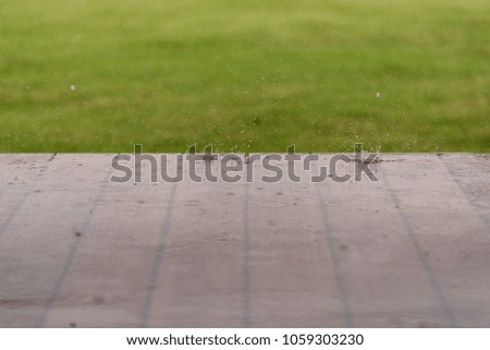 Rain drops falling to wooden floor and blurred green grass background.High speed shutter.Rainy season concept.Selective focus.