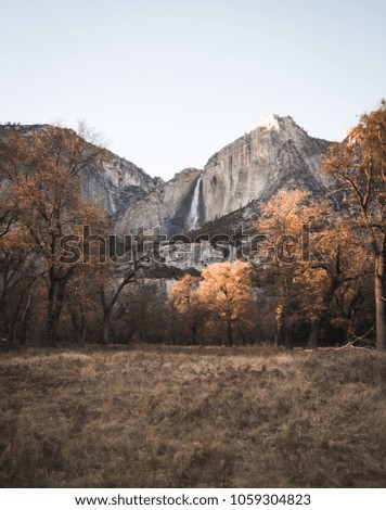 A stunning view through the golden leaves of autumn of the falls of Yosemite