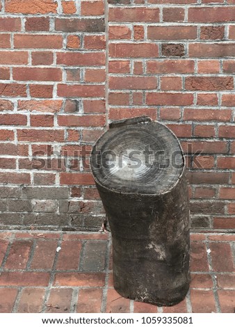Log standing on a brick floor