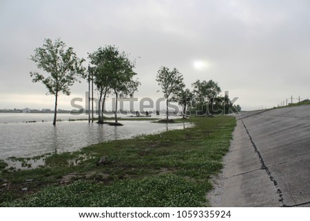 Trees peak out of the mist as flood waters rise against the levees in New Orleans, Louisiana Royalty-Free Stock Photo #1059335924