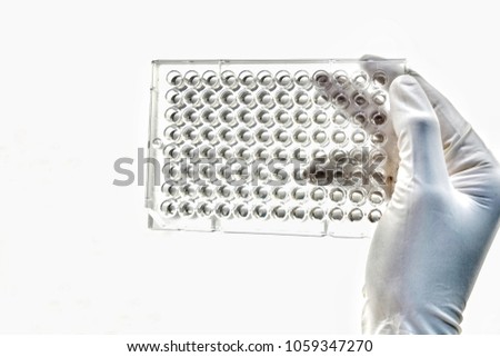 Screening the cell cytotoxicity by MTT assay in 96well plate. Mtt is used to study the cell viability measure of cellular activity as an indicator of cell damage or cytotoxicity.                       Royalty-Free Stock Photo #1059347270