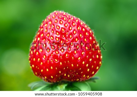 Strawberry on green background. Best red strawberry background. Fresh strawberries. Organic ripe strawberry. Appetizing and delicious beautiful strawberries. Amazing red strawberry on green background