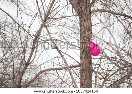 loneliness concept. festive ball on the branches of a tree