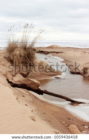 Beautiful natural sand sculpture made with wind and water. Sand fase of human on dry wooden log near stream. Beautiful baltic landscape. Cold spring weather near on nordic sea