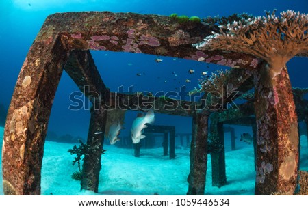 Underwater scene with steel artificial cube reef, Similan, Thailand