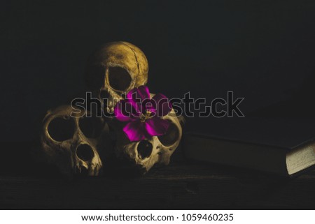 Still life with skull