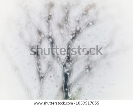 Distorted image Plum Tree Taken through the glass while rain falls. Customize with white scenes.