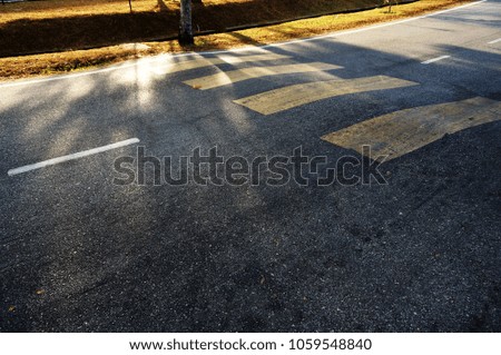 Crosswalk, asphalt road with natural light