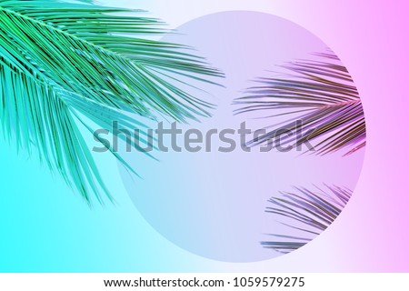 Tropical palm leaves in vibrant gradient neon colors. Minimal summer background. Royalty-Free Stock Photo #1059579275