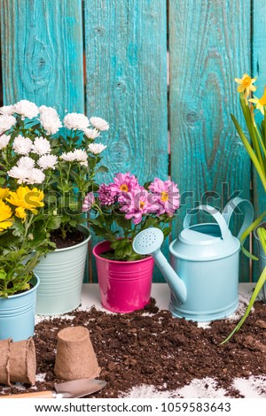 Photo of colorful flowers in pots near wooden fence