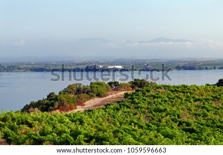 Diane lake hiking path in Corsica