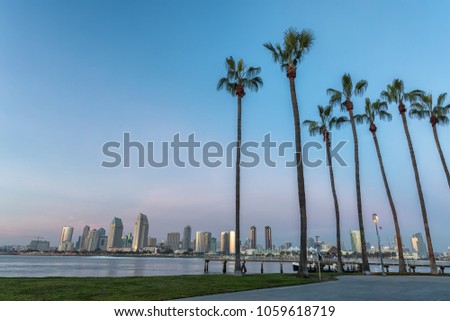 California Palm Trees and City of San Diego, California USA