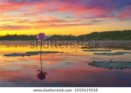 I just wish, the summer would never end. Romantic sunset on the lotus pond. Khabarovsk Krai, far East, Russia. Royalty-Free Stock Photo #1059619058