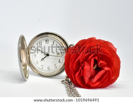 Pocket watch and red flower
