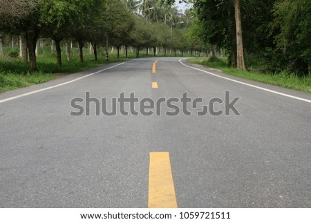 asphatt road with green trees beside