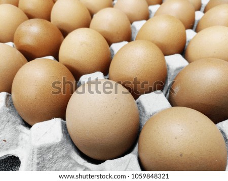 Close up of eggs on paper egg tray 