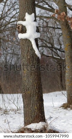 Silhouette, a cat shape molded from snow on a tree trunk.
Ukraine.