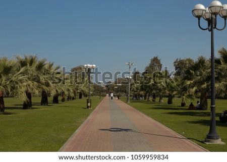 Beautiful green park with palm trees
