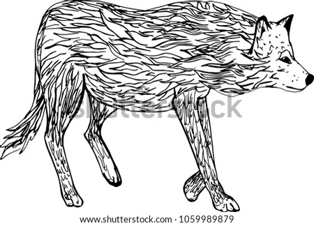 Wolf zentangle stylized, black and white engraved isolated