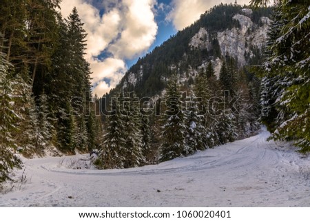 Winter photo of mountain scene with snow covered pine trees a curving road rocky mountain in the distance and yellow colored clouds in the sky from sunset.