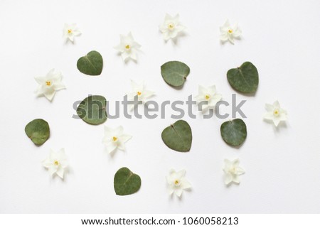 Styled stock photo. Feminine spring desktop composition with white narcissus, daffodil flowers and  dry green eucalyptus leaves on white background. Floral pattern. Empty space. Flat lay, top view.