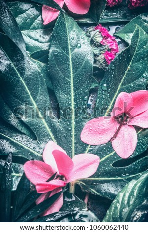 Tropical leaf and pink  flowers background, top view