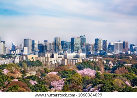 Scenery of Tokyo where cherry blossoms bloomed/Tokyo is the capital of Japan