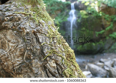 Beautiful Nature Photo With Tropical Waterfall In Background
