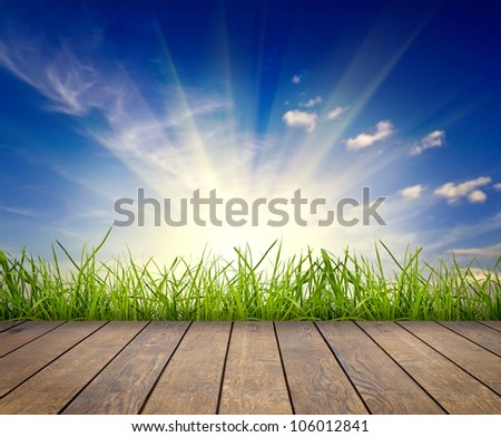 wood textured backgrounds in a room interior on the sky field  backgrounds